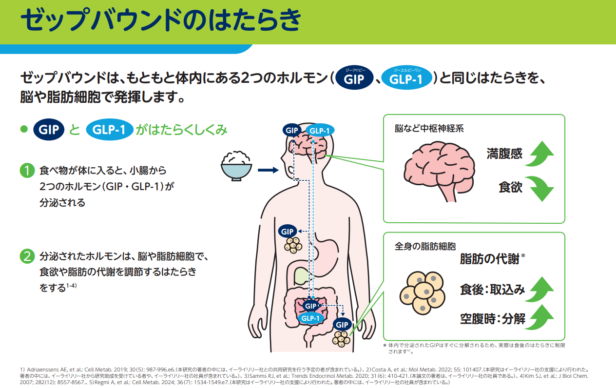 ゼップバウンドの働き1