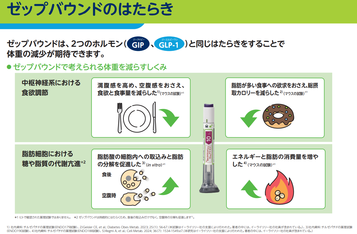 ゼップバウンドの働き2
